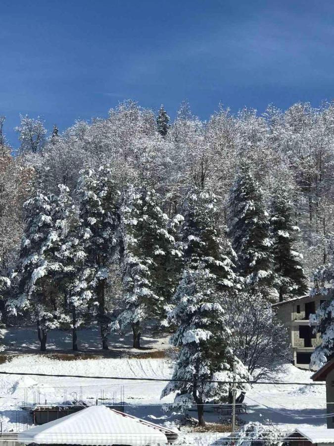 Bakuriani Cozy Villa #4 ภายนอก รูปภาพ